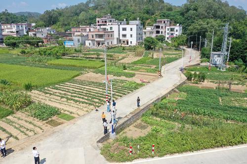 党员带头出让屋地，茂名高州东坡村羊肠小道换康庄大道