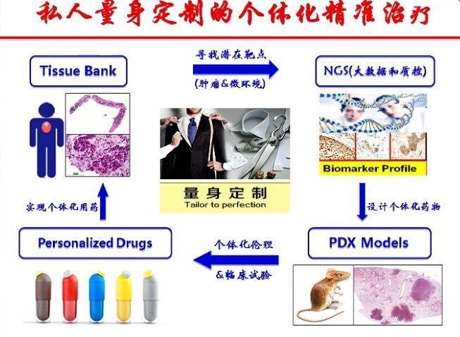 2019CSCO报告丨重磅抗癌药研发进展盘点，后免疫治疗的时代来临