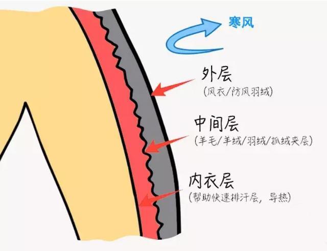 连白敬亭、陈伟霆都号召秋裤时尚，你个老寒腿还怕啥子丢人