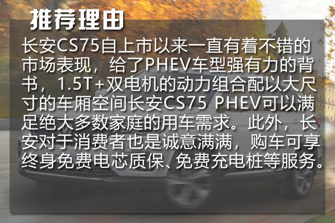 油价“喜迎”多连涨 这些车型可以考虑了