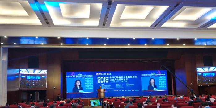 信息化和软件服务业司参加2018中国石油石化