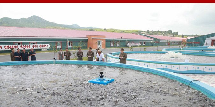 金正恩偕夫人视察鲇鱼厂 嘱咐要超额完成生产