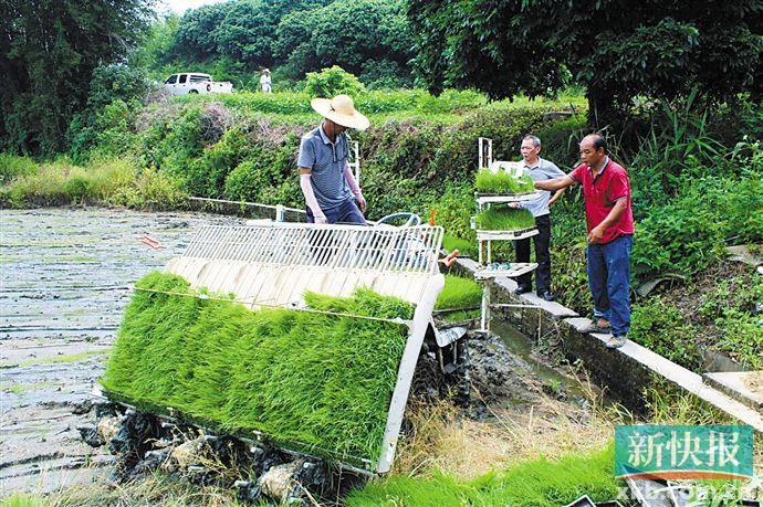 扎根本土 守正出新 广州农商银行多种创新方案助力村社金融改革