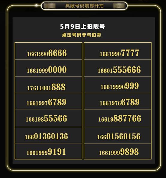 虚拟号段购买