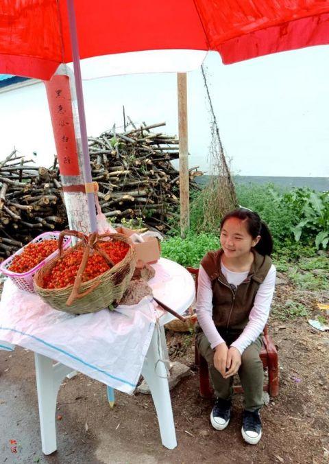14岁农村女孩大山里独自摘樱桃，日入30元为母挣治病钱