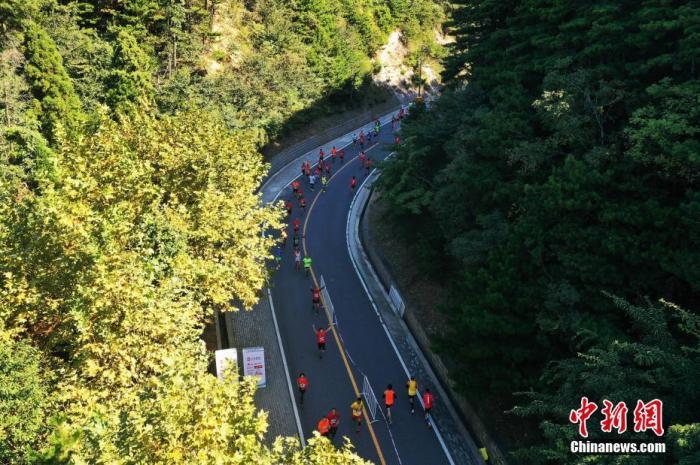 又双叒叕有人跑马拉松违规了？这次跟以前不太一样