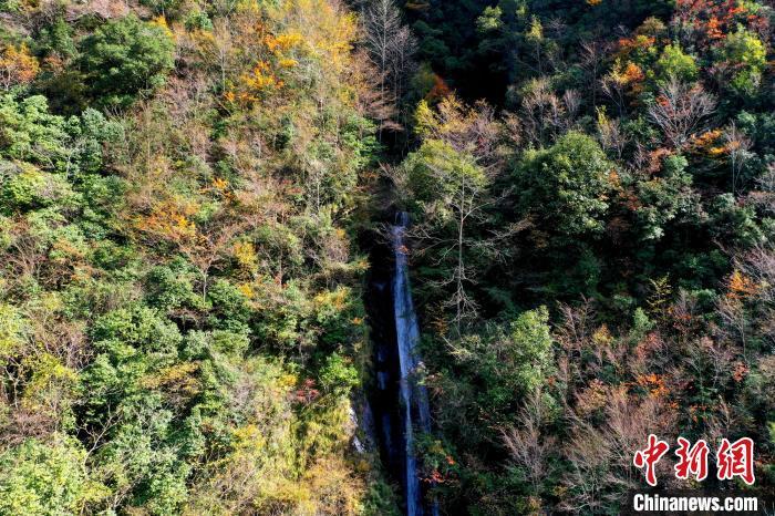 四川北川古羌寨彩林环抱 初冬美景宛如画中来