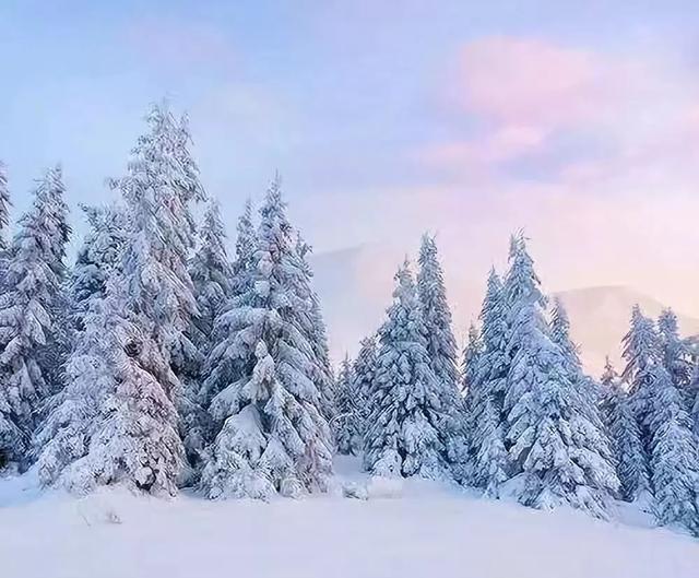 送门票！2020博乐冰雪嘉年华1月22日开幕