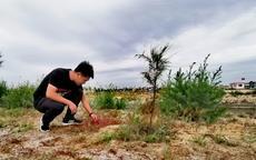 行走海岸线|滨海湿地修复，小植物起大作用