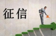 不用再跑银行网点，企业信用报告可通过网银查询