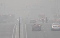 山东继续发大雾黄色预警，青岛烟台潍坊等局地能见度不足200米