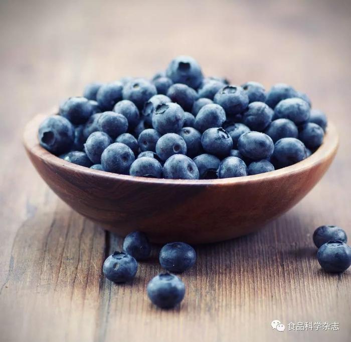不同蓝莓品种果实品质比较与综合评价