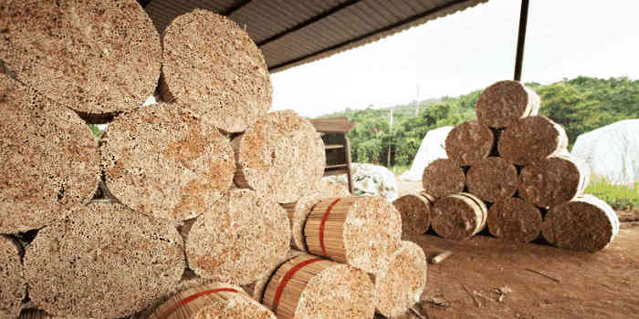 东南亚唯一使用筷子的国家,40年前还向中国开