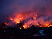 高温肆虐全球森林大火烧入北极圈 是什么原因？