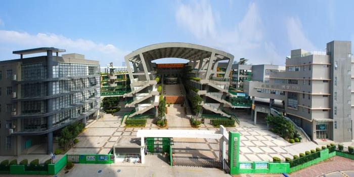 深圳一小学教师被举报收礼疑遭诬陷 校方:已调查