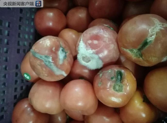 图片来源于央视新闻客户端