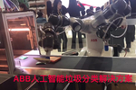 abb张志强:中国工业机器人市场前景乐观,5g将在三方面重塑工业