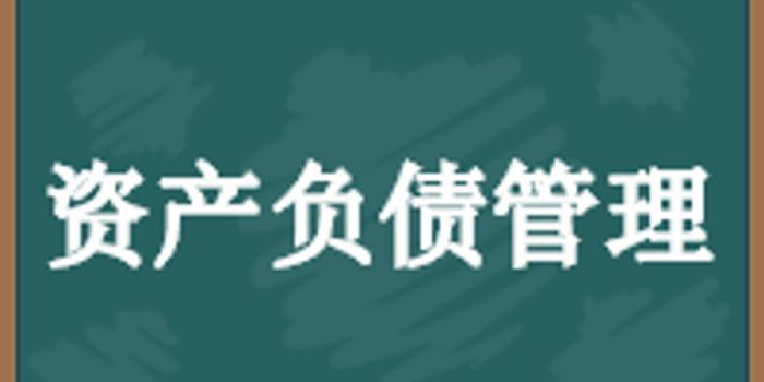 王剑、陈文钦:资产负债管理框架研究