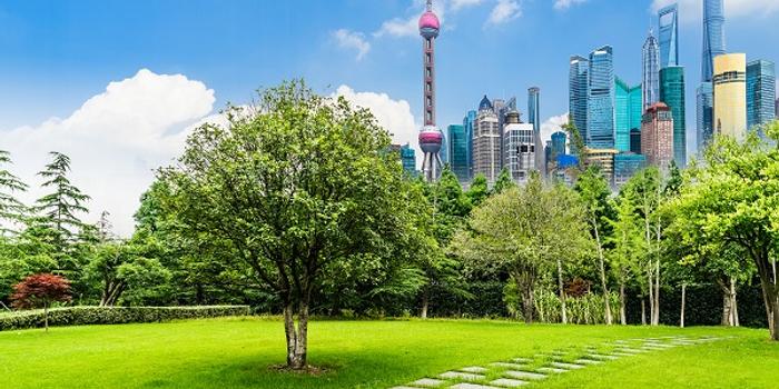 上海人均绿地_绿地海富东上海