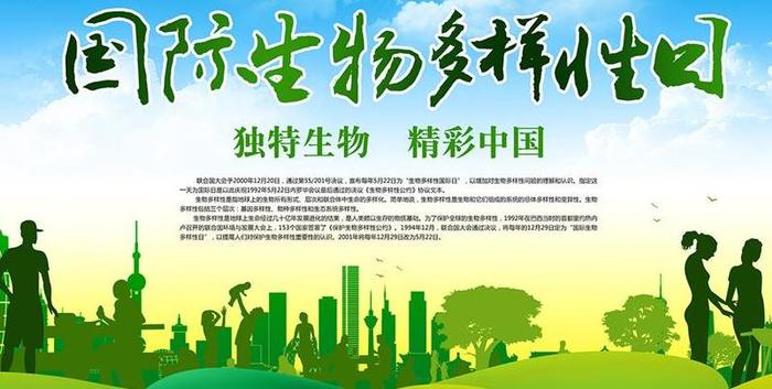 世界上的生物物种，每小时就会消失一种