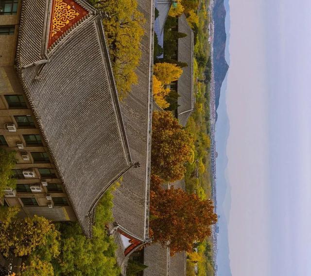 北京大学的秋天，横着看，很好看……（多图）