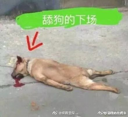 妹子们爆出被钢铁直男硬撩的聊天记录，全程尬到差点笑出鸡叫声哈哈哈哈…