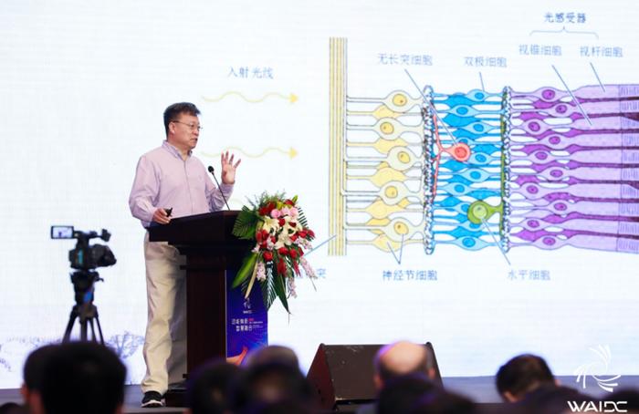 数字视网膜、自定义计算···山东的这个“烧脑”AI大会“涨姿势”