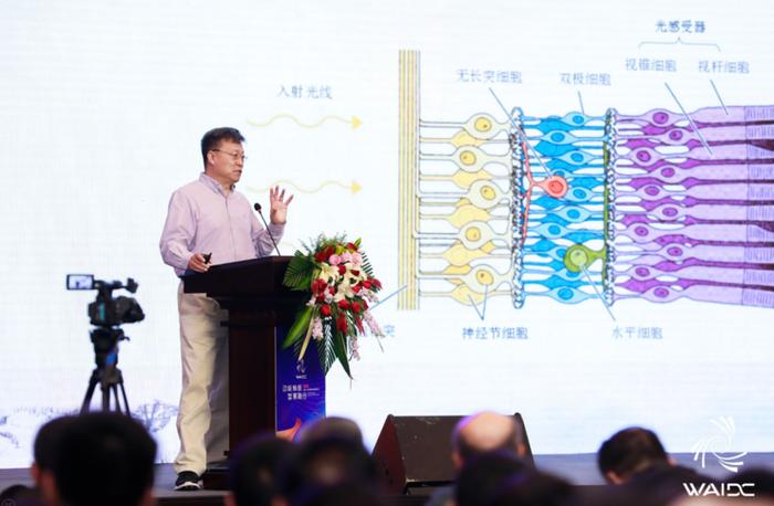 中国工程院院士高文：数字视网膜消除智能交通痛点 | 世界人工智能融合发展大会