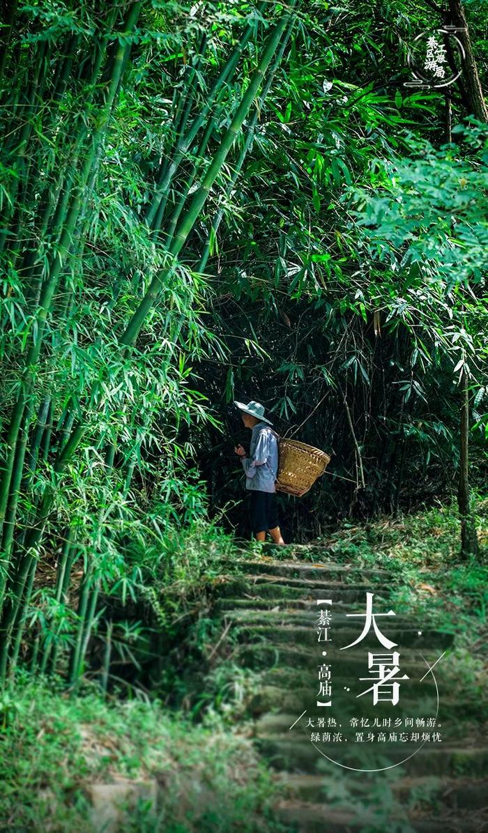 綦江美物 | 大暑，置身高庙忘烦忧