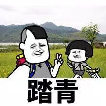 德州“花痴”模式马上开启,周边赏花攻略在此……所有的春天都在这里！