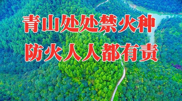 开平市迅速扑灭一起突发山火 纵火嫌疑人当场抓获