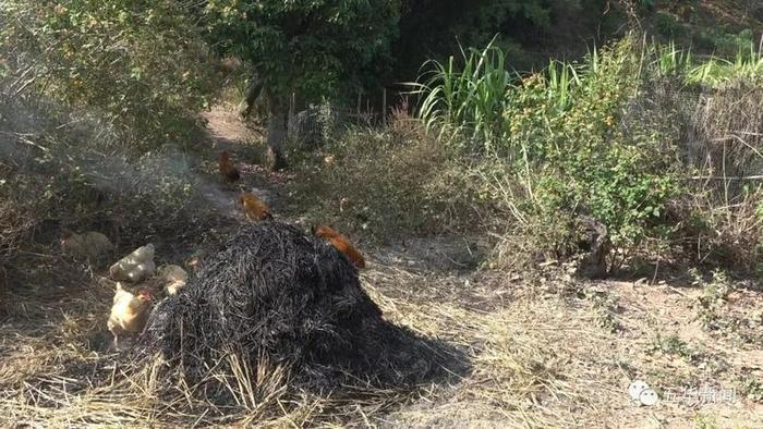 暗访转水、安流2镇3村人居环境：  转水流洞整体较好 新民矮车死角多 安流3村问题不同程度存在