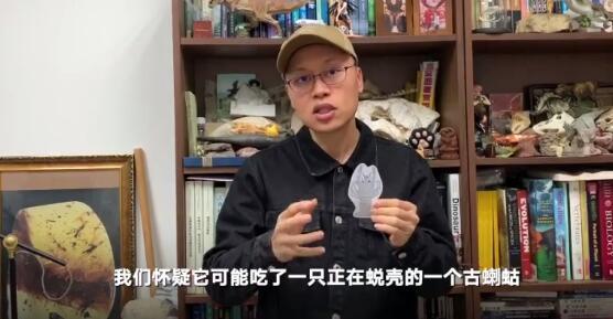 古生物学家发现罕见胃容物标本：一亿年前蜥蜴吃古代小龙虾