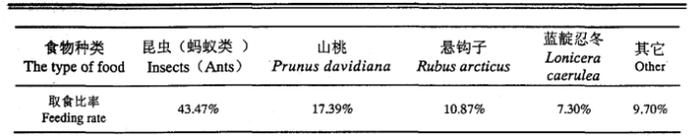 熊为什么要伤人？遇到熊，装死有用吗？