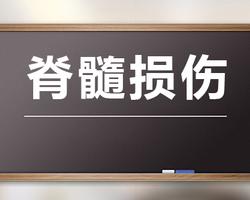 瘫痪生活无法自理 脊髓损伤到底多可怕？