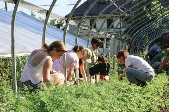 专访耶鲁大学助理副校长：保障饮食安全需要生产过程可追溯