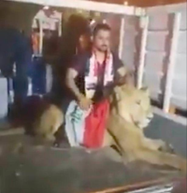 伊拉克冲突不断，示威者用狮子抵抗部队警犬，背国旗公然游街