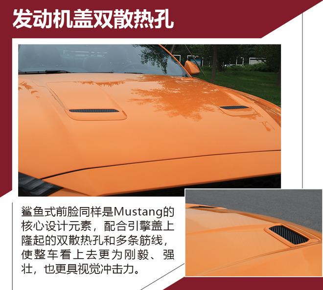 最贴近平民的野兽 实拍2018款福特Mustang