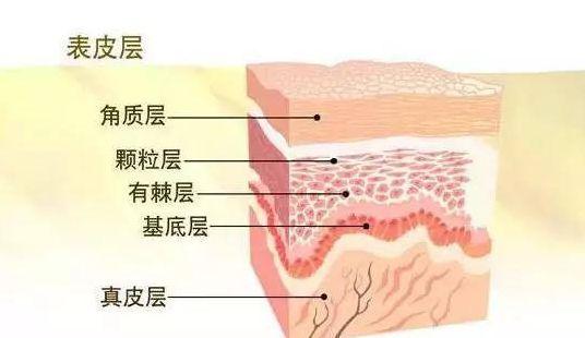 38岁蔡依林维持少女感的秘密竟是...网友称很实在