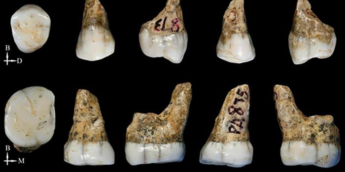 西班牙人口牙_西班牙人口分布图(3)