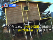 习近平牵线 中国菌草助巴新发展