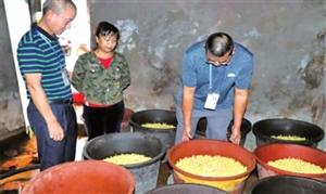 普洱市专项整治豆芽菜质量