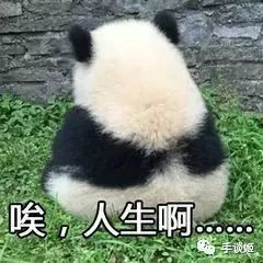 笑死！被强制合并的“尼禄”贴吧，成了沙雕网友的欢乐源泉……