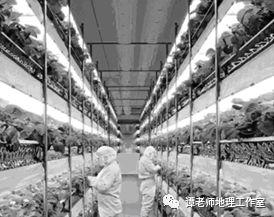 【地理拓展】建在市中心的农场才是中国农业的未来？！（附考点设计）