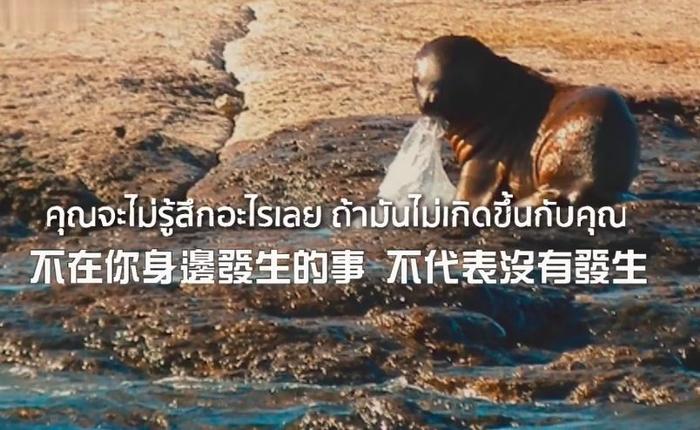 泰国又一则公益广告火了：生而为人，我很抱歉