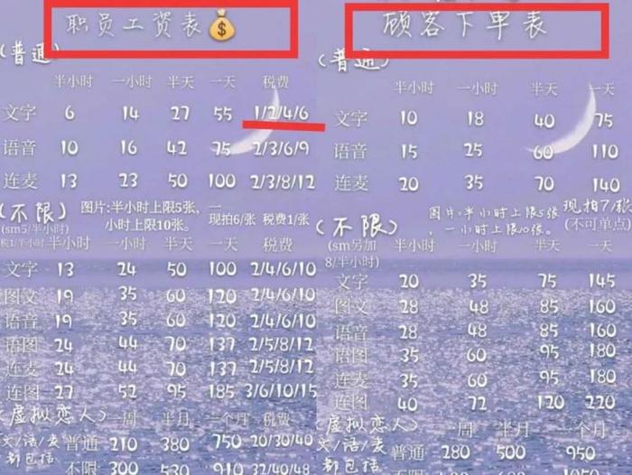 某家虚拟恋人馆职员工资与顾客下单价格对比图