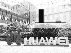 张大伟 制图