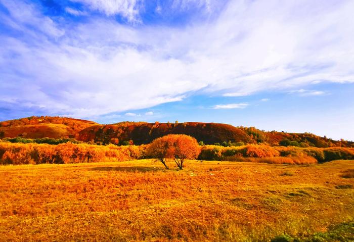 致承德御道口草原森林风景区