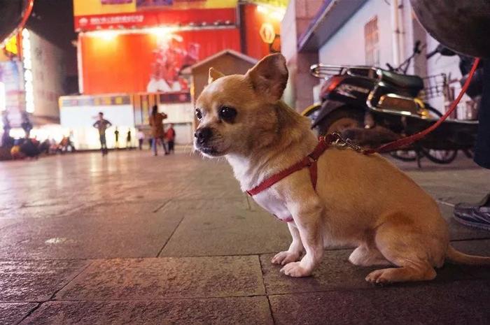 夜晚的南门口，有着长沙最真实的模样……