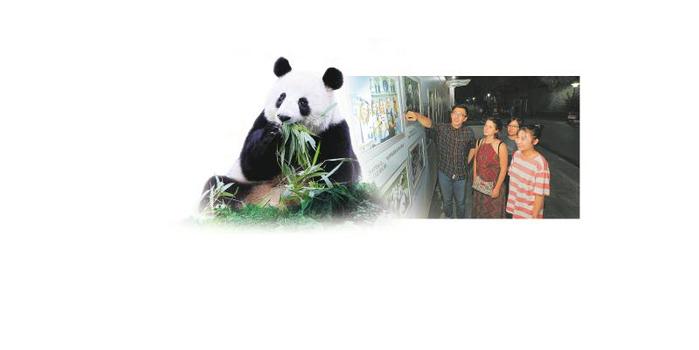 首届中国大熊猫国际文化周明日开启 四川1+1